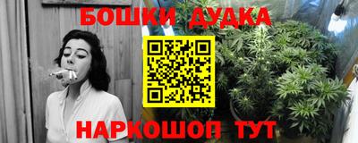 шишки Кингисепп