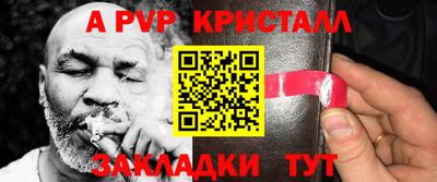 шишки Кингисепп