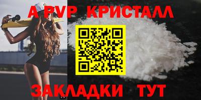 шишки Кингисепп